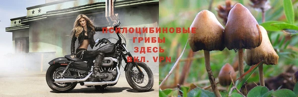 стафф Алексеевка