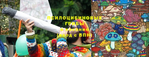 стафф Алексеевка